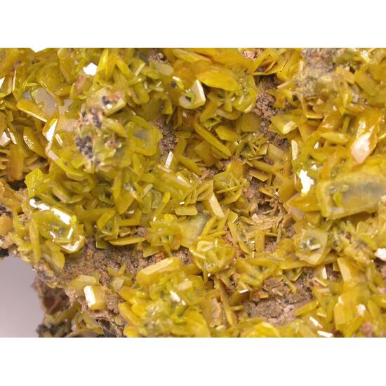 Wulfenite
