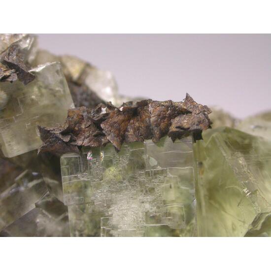Fluorite & Siderite