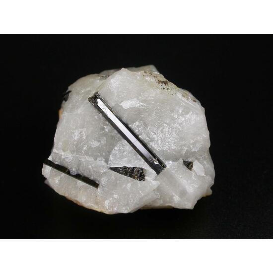 Schorl In Quartz