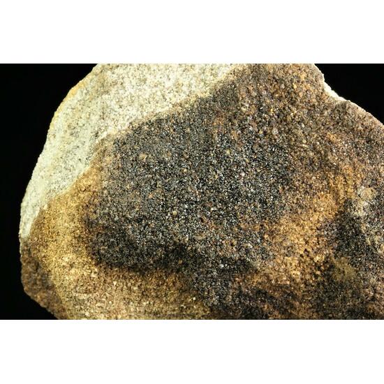 Petroleum In Sandstone