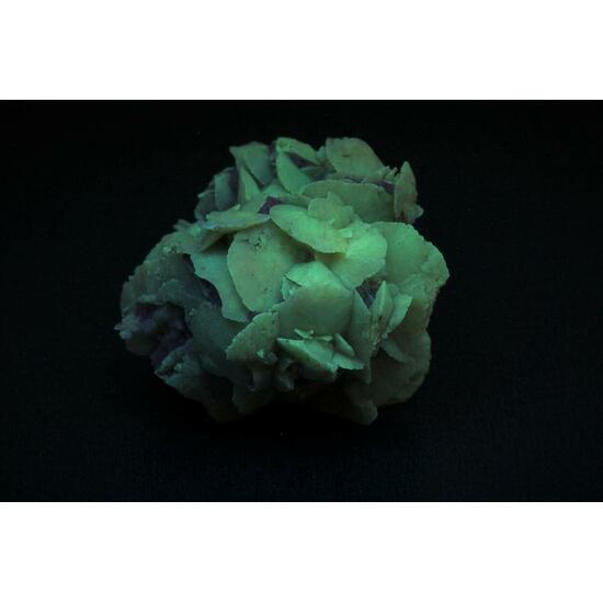 Quartz Psm Desert Rose