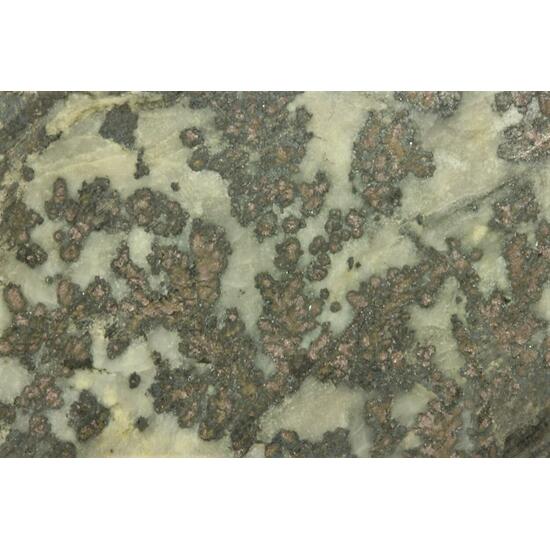 Native Silver With Safflorite