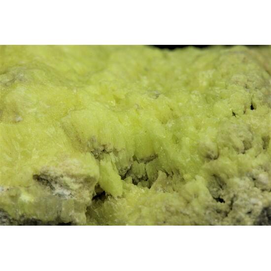 Native Sulphur