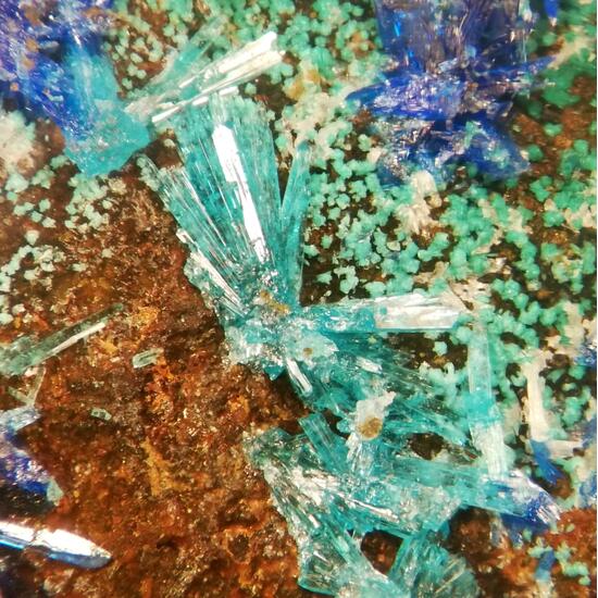 Caledonite & Linarite