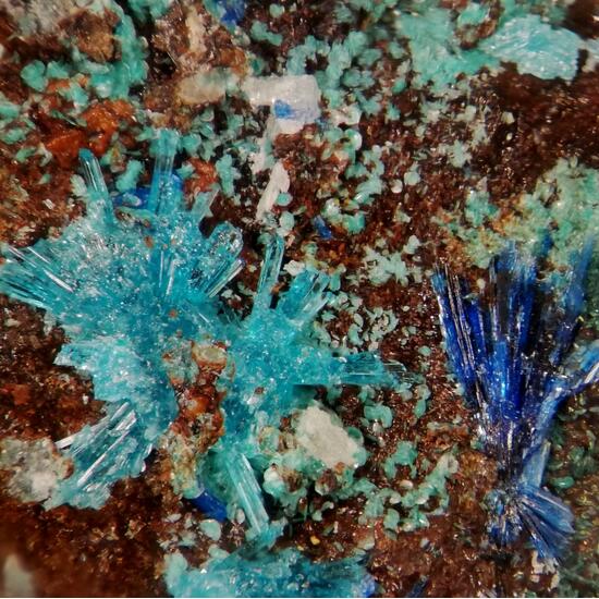 Caledonite & Linarite