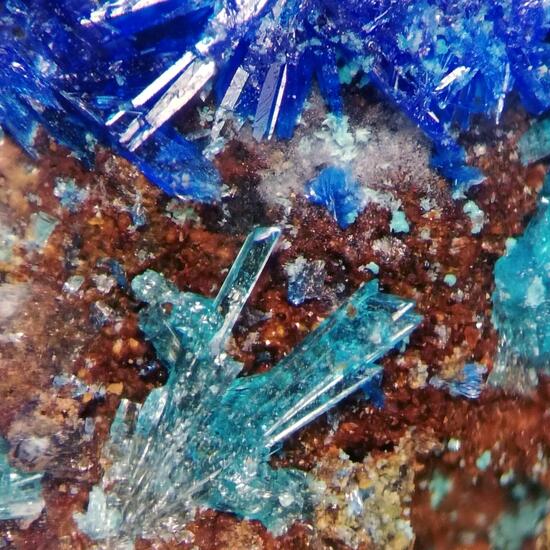 Caledonite & Linarite