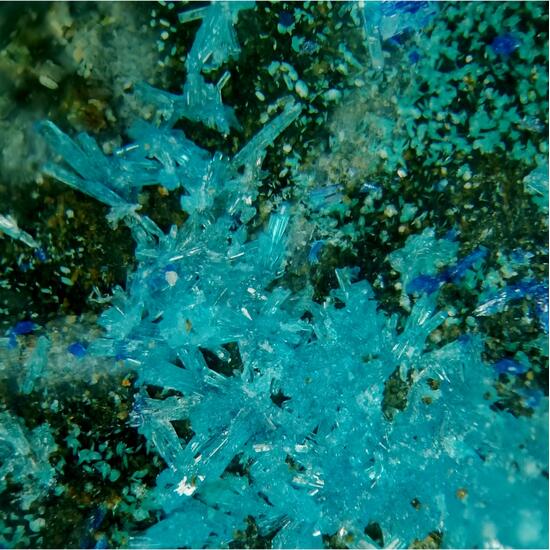 Caledonite & Linarite