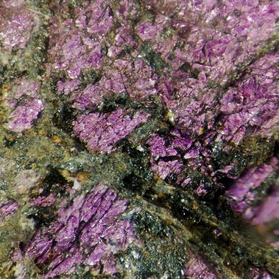 Purpurite