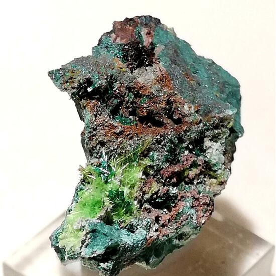 Cuprosklodowskite & Malachite