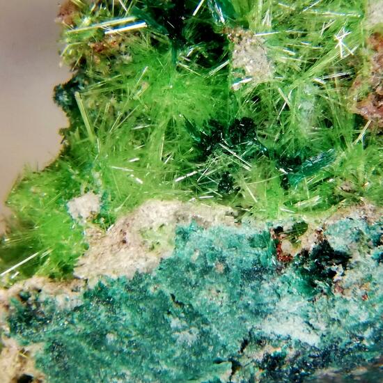 Cuprosklodowskite & Malachite