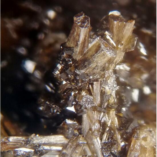 Descloizite & Endlichite