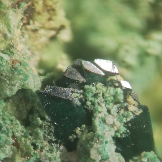 Vandenbrandeite & Cuprosklodowskite