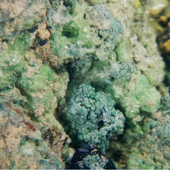 Vandenbrandeite & Cuprosklodowskite