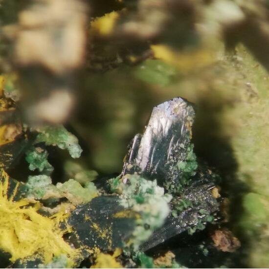 Vandenbrandeite & Cuprosklodowskite