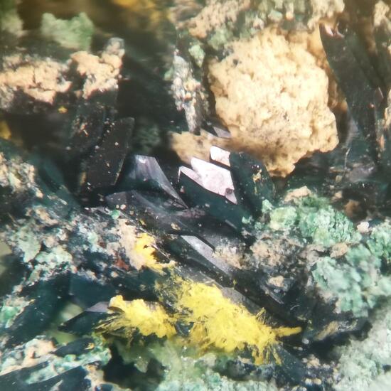 Vandenbrandeite & Cuprosklodowskite