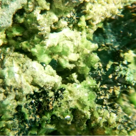 Vandenbrandeite & Cuprosklodowskite