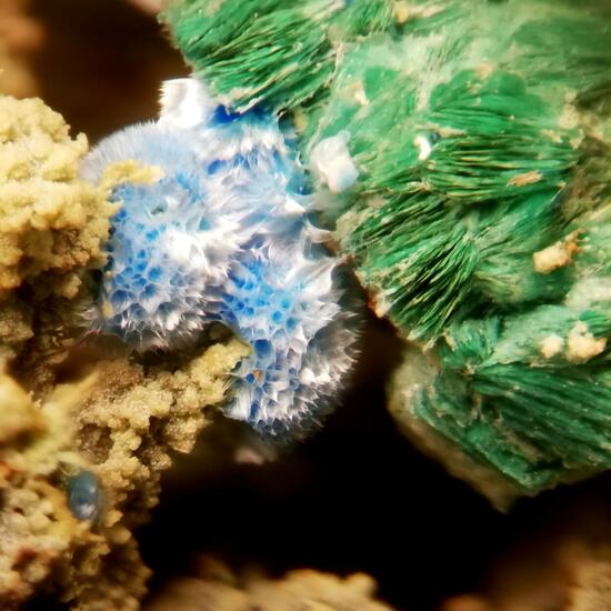 Chalcophyllite & Cyanotrichite