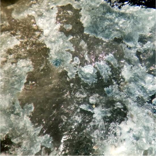 Gelosaite & Molybdenite