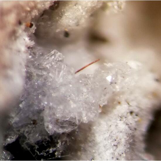 Dingdaohengite-(Ce) Tridymite Fluoro-edenite