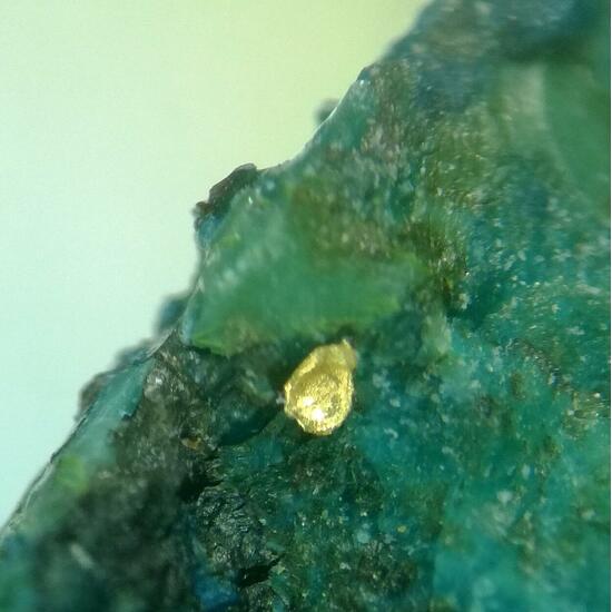 Gold On Shattuckite & Chrysocolla
