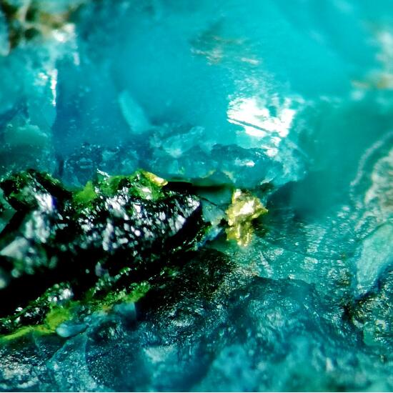 Gold On Shattuckite & Chrysocolla