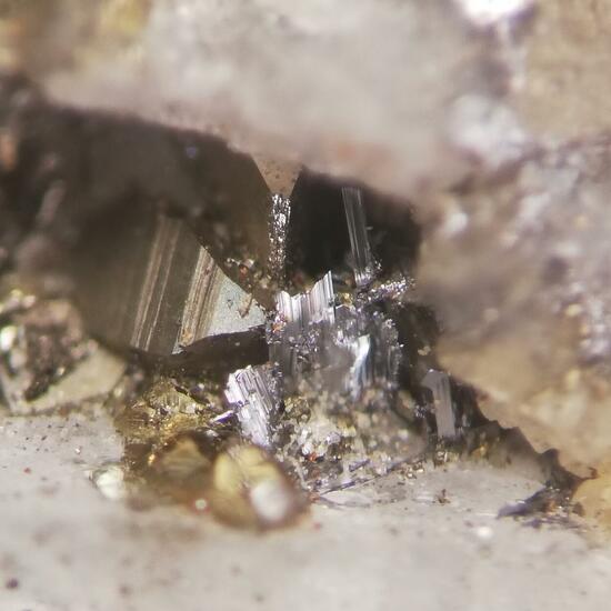 Gustavite & Arsenopyrite
