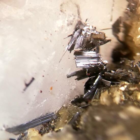 Gustavite & Arsenopyrite