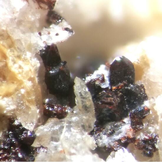 Gamagarite & Ganophyllite