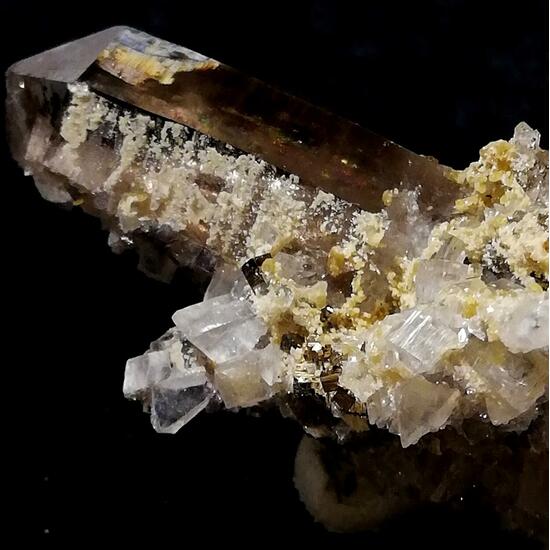 Bertrandite & Fluorite On Smoky Quartz