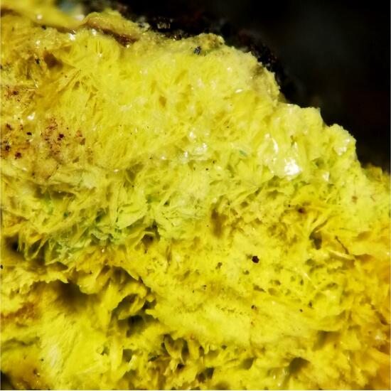 Schoepite On Rutherfordine