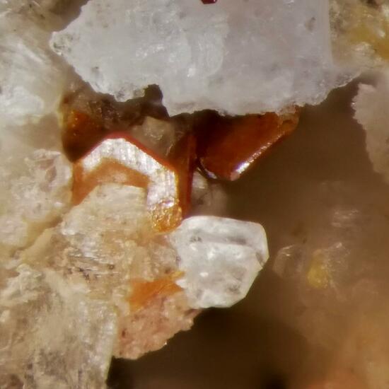 Anatase & Brookite