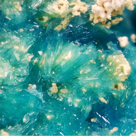 Chalcanthite