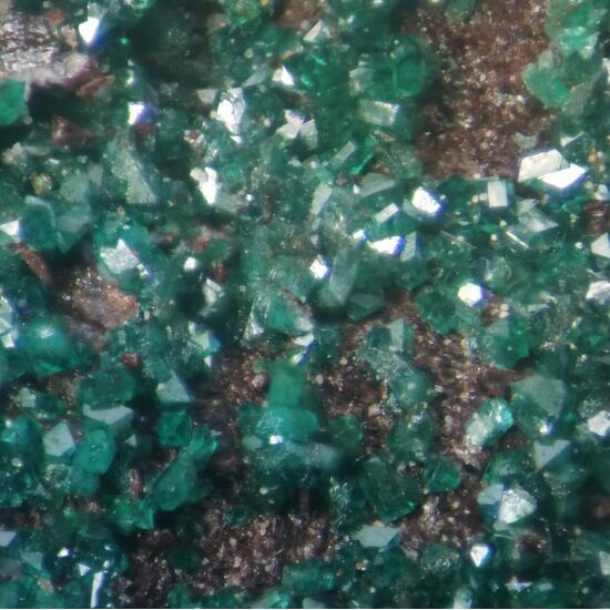 Paratacamite