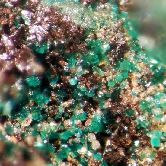 Ramsbeckite & Linarite