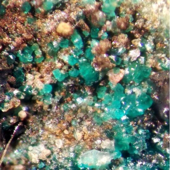 Ramsbeckite & Linarite