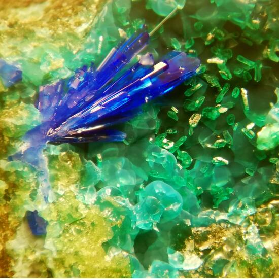 Linarite & Brochantite