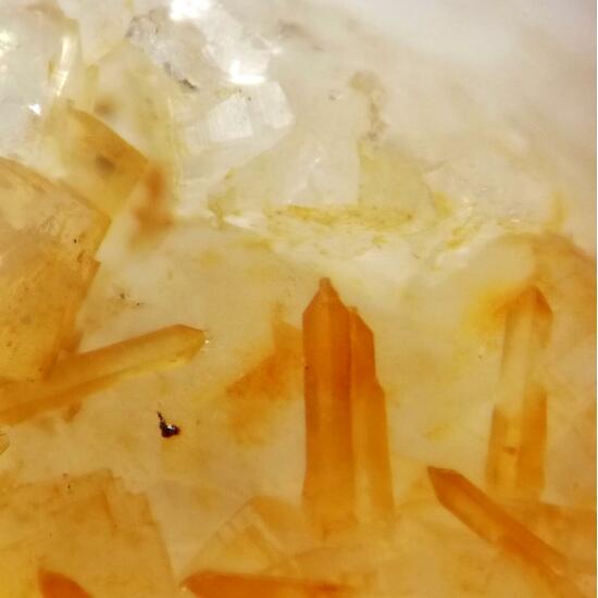 Pachnolite & Thomsenolite