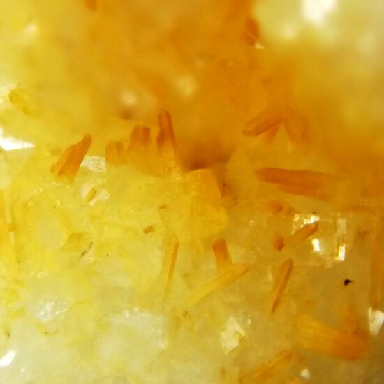 Pachnolite & Thomsenolite