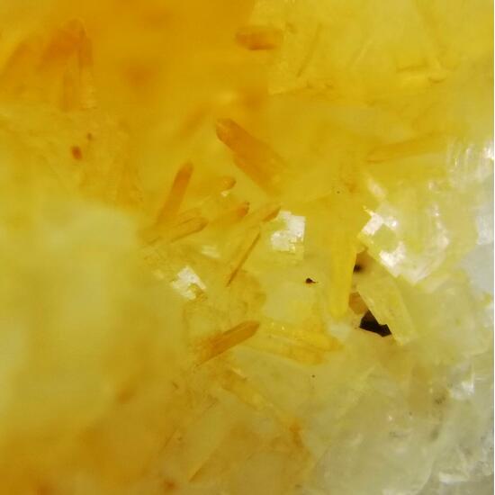 Pachnolite & Thomsenolite