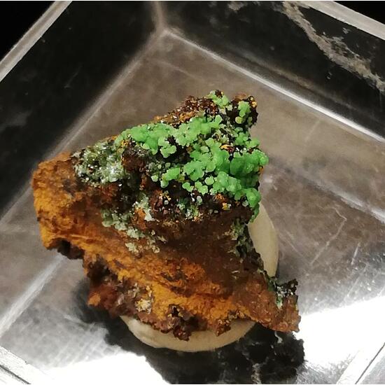 Conichalcite & Adamite