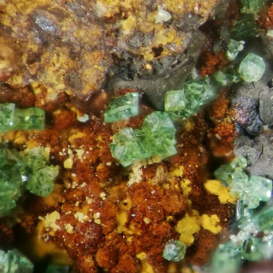 Conichalcite & Adamite