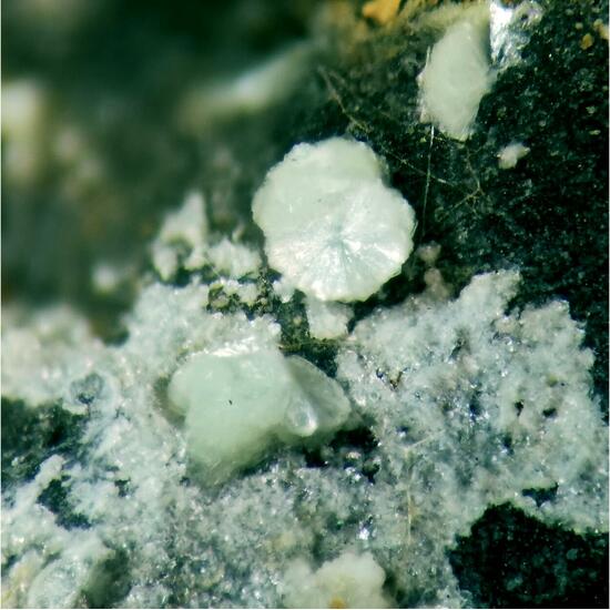 Montgomeryite