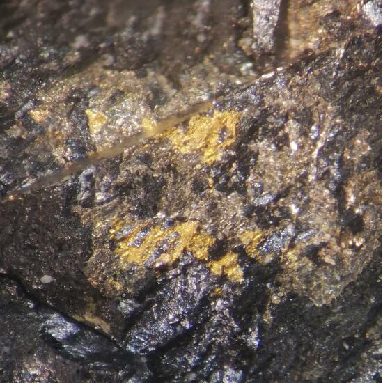 Native Gold In Uraninite