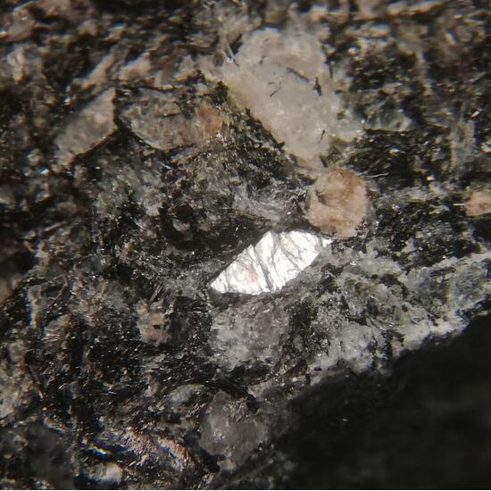 Naujakasite & Villiaumite