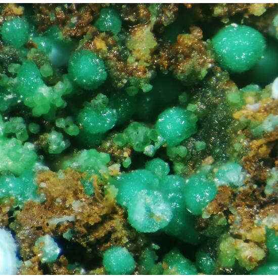 Goldhillite & Conichalcite