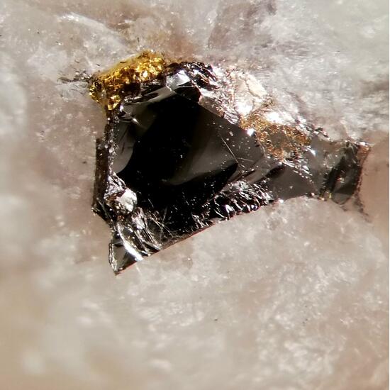 Gold & Molybdenite