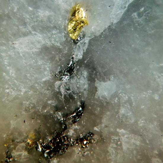 Gold & Molybdenite
