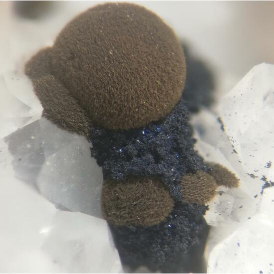 Tungstibite & Covellite