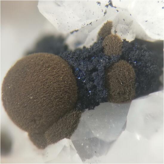 Tungstibite & Covellite