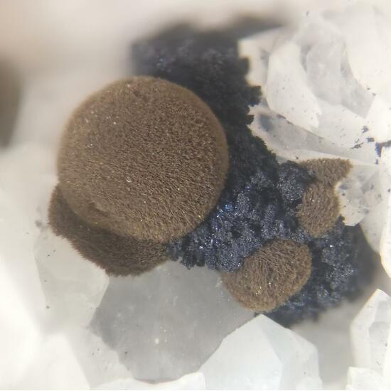 Tungstibite & Covellite